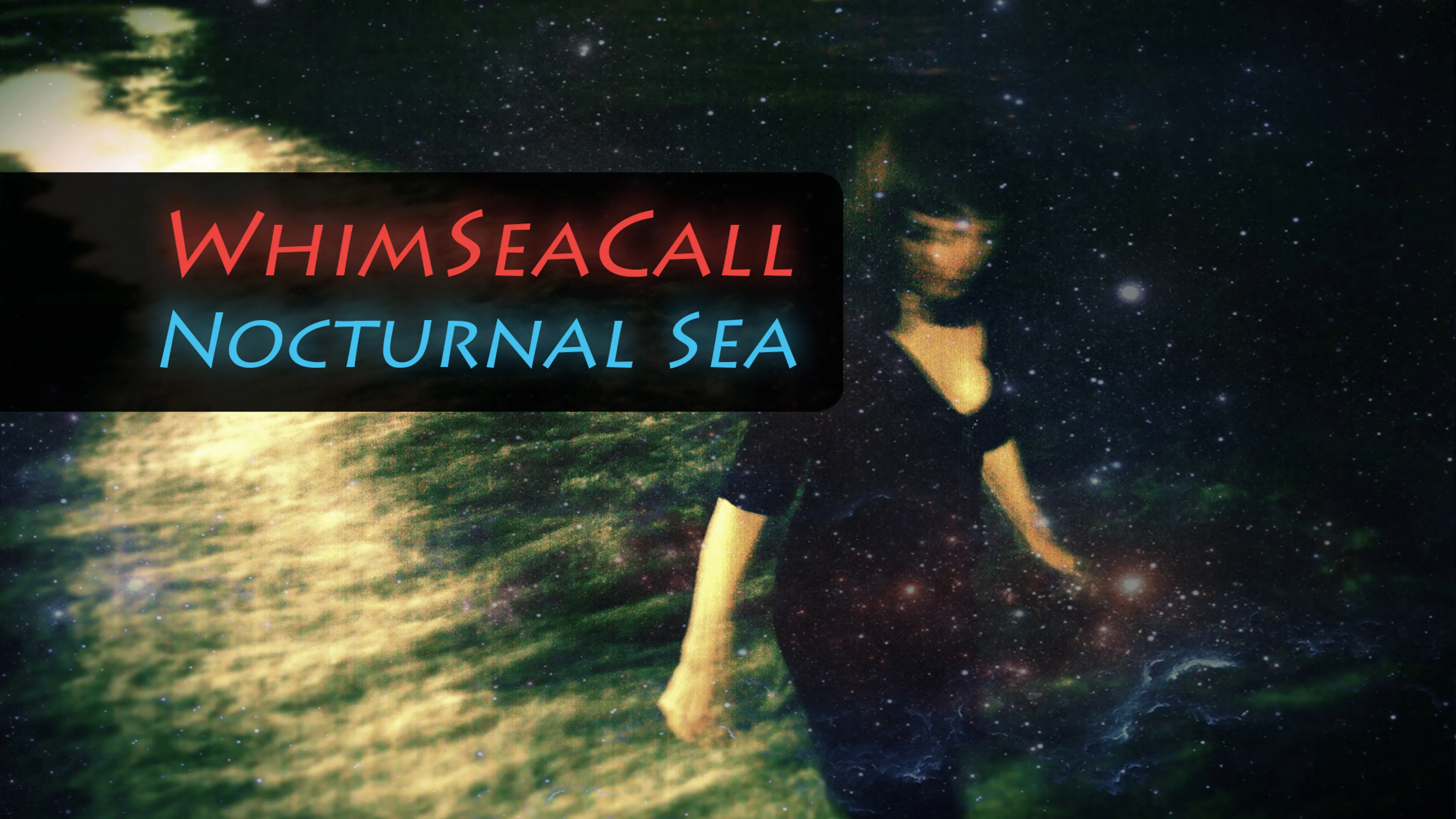 WhimSeaCall - Nocturnal Sea poster